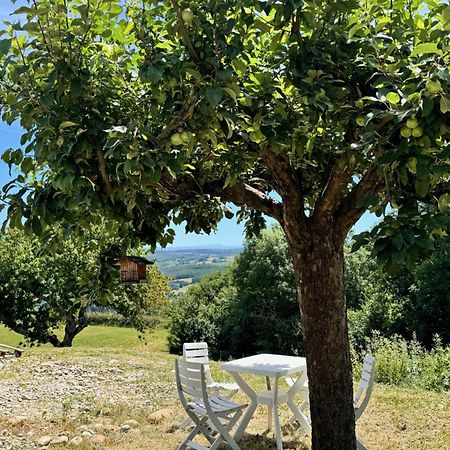 Gite Chez Polo Villa Chateauneuf-de-Galaure Eksteriør billede