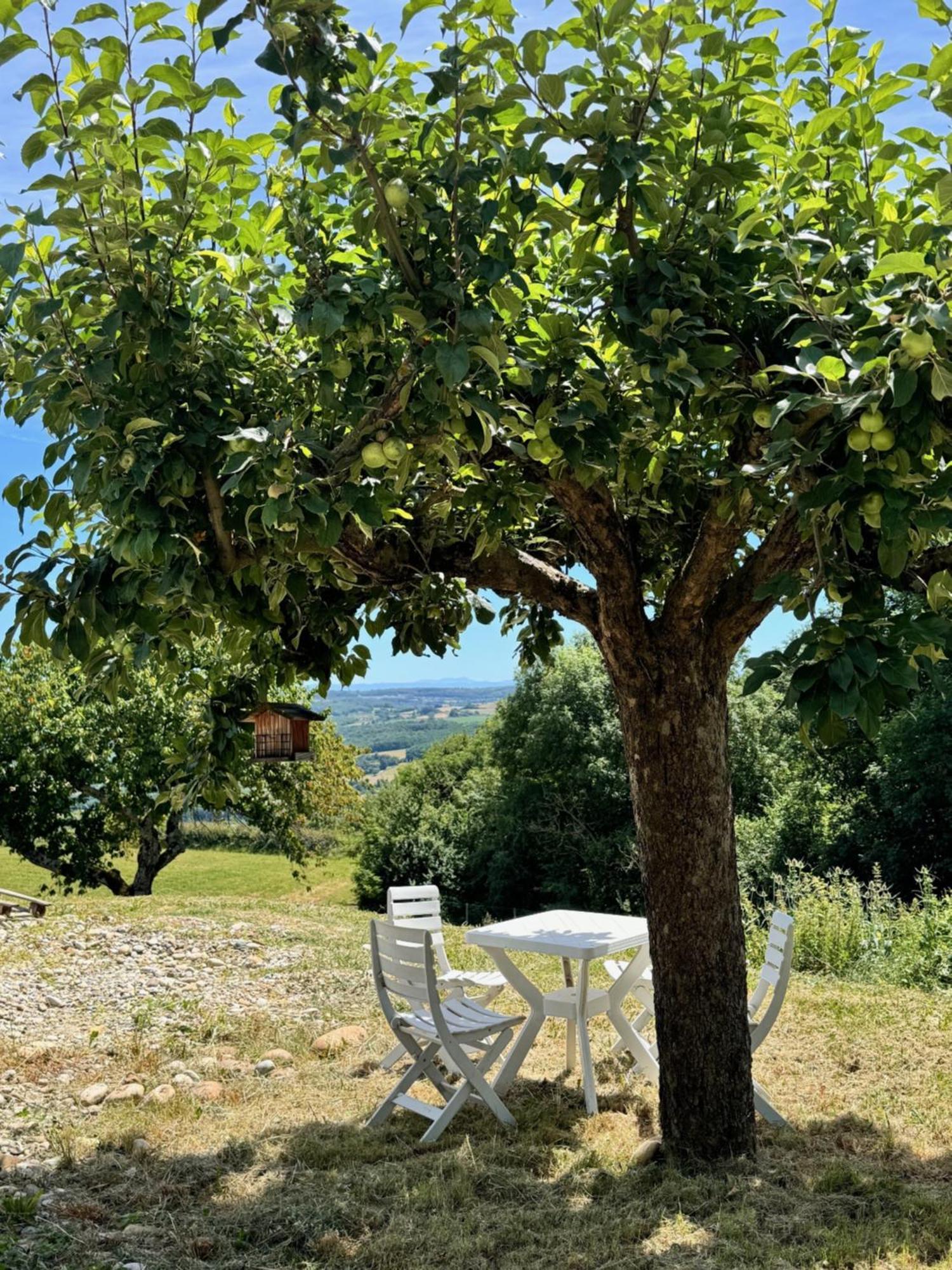 Gite Chez Polo Villa Chateauneuf-de-Galaure Eksteriør billede